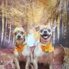 William Bednar - @william.bednar - TikTok