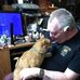 William Bettles - Facebook