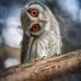 William Beeson - Facebook