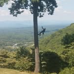 William Belair - @eolian1 - Instagram