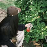Jude Victor William Bellingham - @lolololololololololoveeee - Instagram