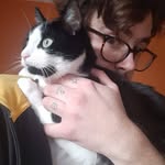 William Randall Belliveau - @storieswithbard - Instagram