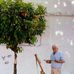 William Belshaw - Facebook