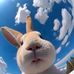 William Benavides - Facebook