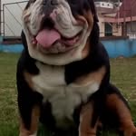 William Benavides - @william.benavides27 - Instagram