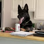 William Ryan Benford - @bigsciss0rs - Instagram