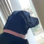 Will Bennett - @williambennett_ - Instagram