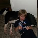 William Bennett - @william_lokithedog - Instagram