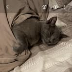 Silvia Gandolfi William Benvenuto - Facebook