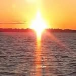 William Berggren - @berggrenwilliam - Instagram