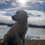 William ßerggren - @william_berggren28 - Instagram