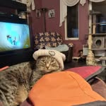 William Bernier - @williambernier272 - Instagram
