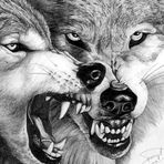 William Bertsch - Facebook