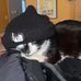 Will Bevington - Facebook