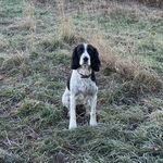 William Bickerstaff - @william_bickerstaff - Instagram