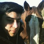 William Biesmans - @williambiesmans - Instagram