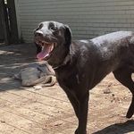 william bisbee - @william.bisb - Instagram