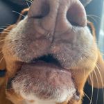 William Bisbee - @bizzzwilliam - Instagram