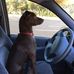 William Bizzaro - Facebook
