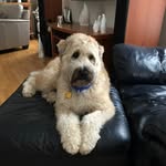 William G. Blaser - @blaserwilliam - Instagram