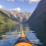 William Blom - @willamblom - Instagram