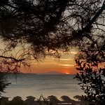 William Blumenthal - @marceeulman - Instagram