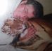 William Bolduc - Facebook