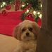 William Bolinger - Facebook