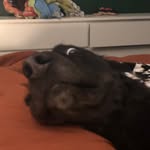 William Bones - @williambaxterbones - Instagram