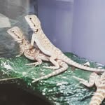 William the bigbootybandit - @williambootybandito - Instagram