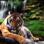 William Borneman - @williamborneman - Instagram