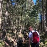 William Boström - @bostromwilliam - Instagram