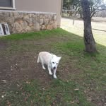 William Bothe - @william.bothe - Instagram