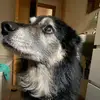 William Bottoli - @william.bottoli - TikTok