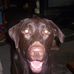 William Botts - Facebook