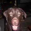 williambotts830 - @williambotts830 - TikTok