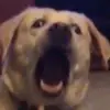 William Boudry - @william.boudry - TikTok