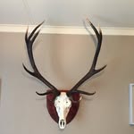 William Bouskill - @buzznut_ - Instagram