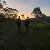 william_boyd0 - @william_boyd0 - TikTok
