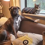 William Boyd - @williamboydpdx - Instagram