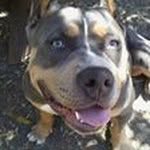 William Boyles - @poopdick707420 - Instagram