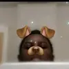 William - @_williamboynton - TikTok