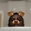 William Boynton - @_williamboynton_ - TikTok