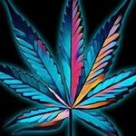 William Bracero - @william.bracero.9 - Instagram
