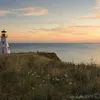 William Brander - @williambrander3 - TikTok
