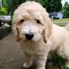 William branson - @william.branson94 - TikTok