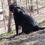 WILLIAM F BRATCHER - @wbbooker1 - Instagram