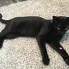 williambbratcher - @william_bratcher - TikTok