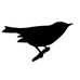 Willie Bredberg - Facebook