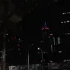 ️ - @williams.breed07 - TikTok